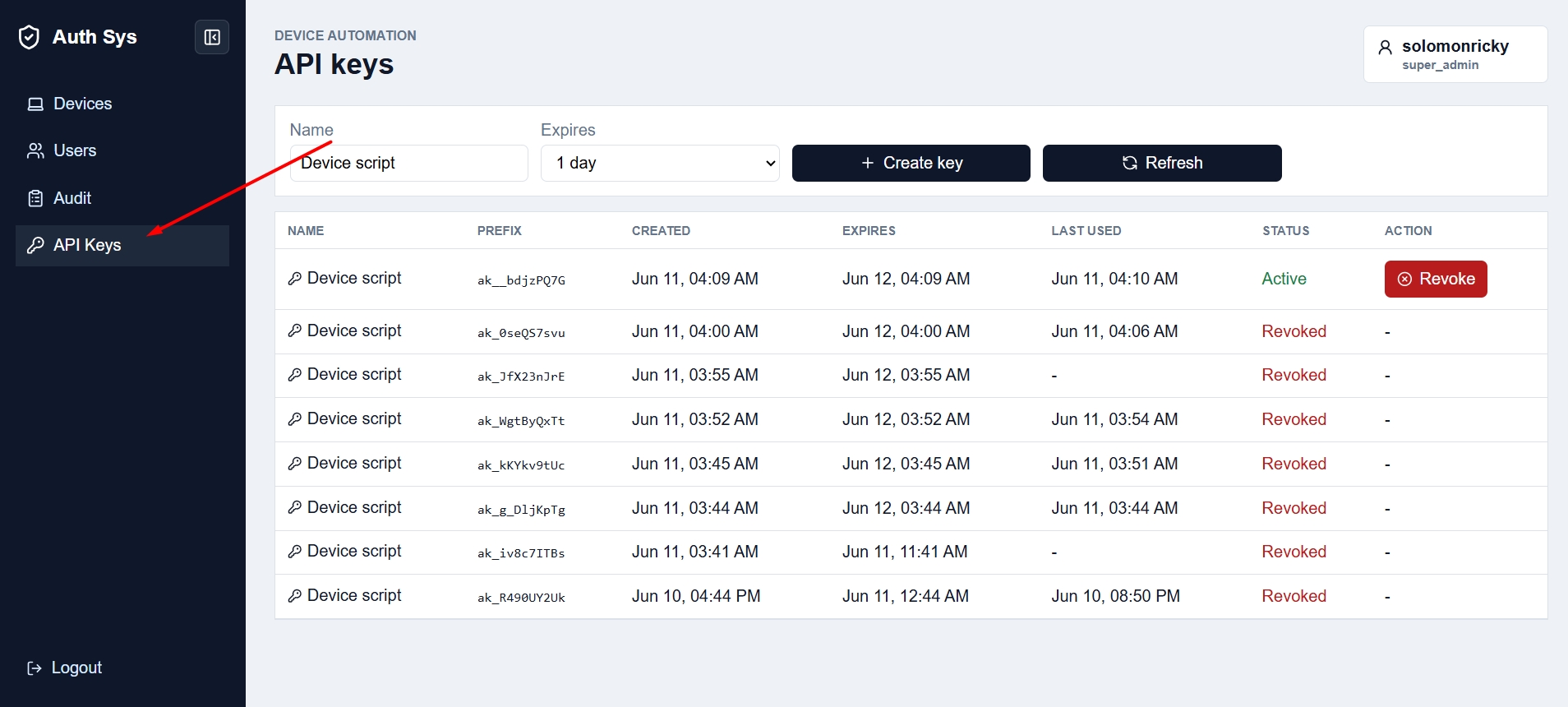 API Keys section screenshot